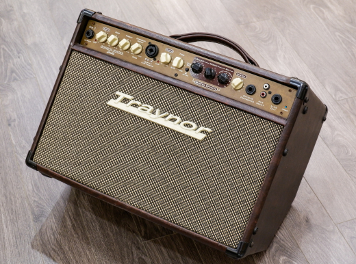 Store Special Product - Traynor - 2-Channel Compact Stereo Acoustic Guitar Amp - 65 Watts